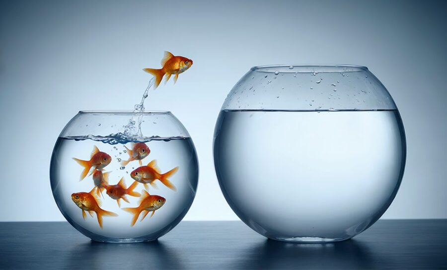 One empty fishbowl and one full of fish, with on fish jumping into the empty bowl